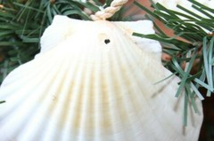 Seashell Wedding Gazebo Archway Garland Large Long Size, 68″ +, G-89
