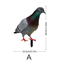 Note Outdoor Space Package Content Outdoor Package Content Garden Pigeon