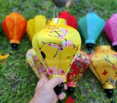 Flower Silk Lanterns 22cm: Vietnamese Lanterns Decor, Set of 8