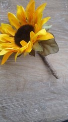 Sunflower Boutineer. with Greenery, Rustic Wedding, Western, Set of 8