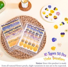 50 Pcs 10 Kinds Natural Dried Pred Edible Flowers for Cake per