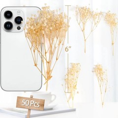 50Pcs Mini Dried Baby’s Breath Flowers, 6” Natural Ivory White Flowers