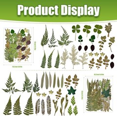 110+ Pcs Dried Flowers Leaves for Crafts, Real Pred Flowers Dry Leaves