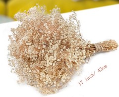 Dried Baby’s Breath Flowers Ivory White, 17inch Dried Natural Flowers