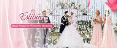 300 PCS Real Pink White Rose Flower Petals Confetti for Wedding Flower