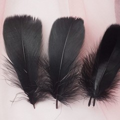 100Pcs Black Natural Goose Feathers, 3-5Inch Centerpieces Feahers Bulk Colorf…