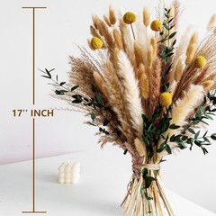 Boho Dried Flowers Bouquet – Olive Green Wall Decor, Ppas Grass Bouquet,