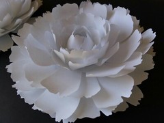 Paper Flowers Wedding Party Nursery Sign Wall Decor Shower Peonies 2 Pieces
