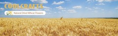 200 Stems Dried Wheat Stalks Natural Wheat Bundle for Home Decor, Crafts