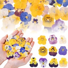 50 Pcs 10 Kinds Natural Dried Pred Edible Flowers for Cake per
