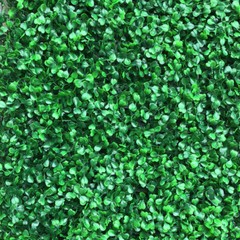 12pcs 24×16″ Artificial Boxwood Mat Wall Hedge Decor Privacy Fence Panel Grass