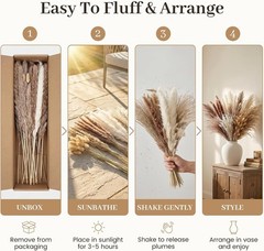 450PCS Natural Dried Ppas Decor – Dried Flower Filler for