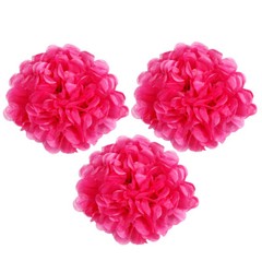 Paper Flower Tissue Pom Pom Hanging Ball Wedding Babyshower Party Decor 12PCS