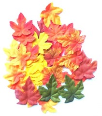 New Maple Fall Leaves Decorations 50 count pack ~ Picked at Random ~ Qty 1