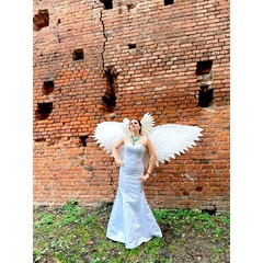 Headdress Wings Photo Props Costume Cosplay Wedding Carnival Christmas Angel