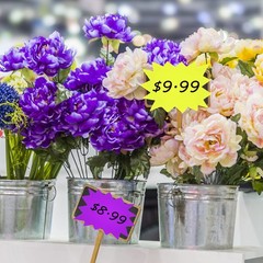 2.8×3.5Inch Neon Signs – 300 pcs 6 Assorted Bright Color, Burst Star Cutouts …