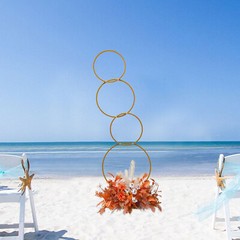 Wedding Round Hoop Backdrop Stand Detachable 4-Tier Gold Metal Flower Arch Frame