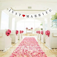 JUST Married Wedding Banner Set, Wedding Decorations for Reception, Bridal Showe