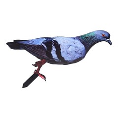 Note Outdoor Space Package Content Outdoor Package Content Garden Pigeon