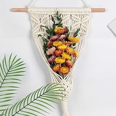 24 Pcs Natural Dried St Flowers Daisy, Oran Dried Flowers