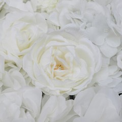 6-Pack Ivory Silk Rose Flower Wall Panels 40 × 60 cm Wedding Backdrop