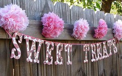 10PC Tissue Paper Pom Poms Flower Balls Wedding Decoration Party Baby Shower