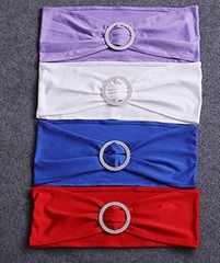 DH Wedding Banquet Party Chair Sash Bands & Buckle Slider in Colors 10PCS