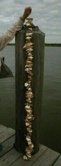 Beach Wedding Natural Ocean Decor Driftwood Garland, Handcrafted, 5 feet, Nordic