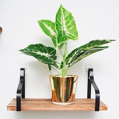 3 Natural Rectangular Wood FLOATING SHELVES Metal Brackets Room Home Decorations