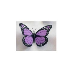 3D Colorful Artificial Butterflies Set PVC Craft Wedding Party Floral Decor Gift