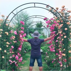 Metal Garden Arbor Arches Trellis for Wedding Party Rose Climbing Plant Outdoor