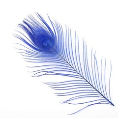 Shekyeon 10-12inch Dyeing Peacock Feathers Bleached Plume Wedding Table Cente…