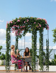 9Ft Metal Birdcage Garden Arbor – Heavy Duty Steel Pergola Pavilion with 8 Groun