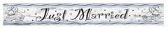 Just Married Banner Silver Wedding Banner Just Married Foil Banner 12ft