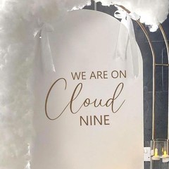 HOTIYOK Oh Baby Sign for Backdrop We are on Cloud Nine Baby Shower Stickers L…