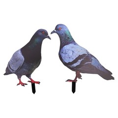 Note Outdoor Space Package Content Outdoor Package Content Garden Pigeon