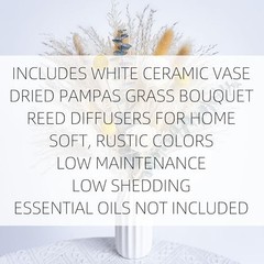 Dried Flowers Reed diffusers kit, Ceramic Vase Included, Reed Whitegreen