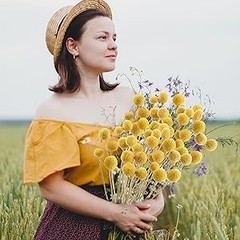 30Pcs Natural Dried Flowers Craspedia Billy Balls Flowers Billy