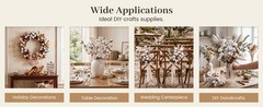 Cotton Stems 8 Pas with 15 Bolls, Natural Dried Flowers Cotton