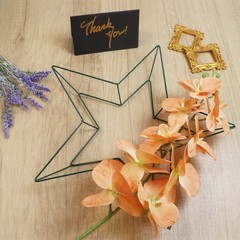 4pcs Wire Wreath 13.8 Inch Star Metal Wreath Form for Crafts Floral Wire Wrea…