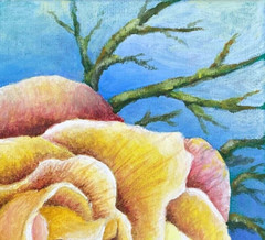 Floral art print,rose,original artwork signed,Rosemary Sandberg,blue,yellow