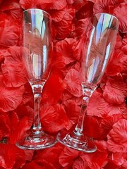 Proposal Package Marry Me Letters 1000 Rose Petals 50 Candles& 2 Champagne Glass