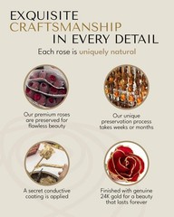 Forever Rose Real Red Rose Dipped in 24K Gold with Gold-Trimmed Petals and St…