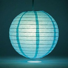 Quasimoon PaperLanternStore Decorative Paper Lantern – (Single, 14-Inch, Wate…