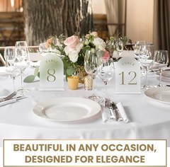 Wedding Table Numbers 1-20 – Frozen Design, Acrylic Cards With Gold Number, P…