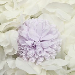12pcs 3D Flower Wall Panel Artificial Flower Wall Background Silk Rose Wedding