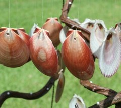 Beach Wedding Seashell Archway Mobiles 38″ ea. Sun And Moon – 2 of G-39