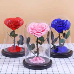 Eternal Rose in Glass Dome – Valentine’s Day Gift