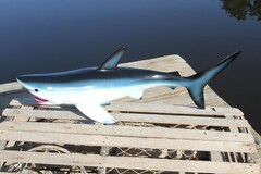 Ocean Theme Wedding Tiki Bar Decor,28″ MONSTER Shark Wall Hanging, 3-D,