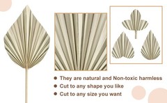 6 Pcs Small Boho Dried Palm Fans,Natural Dried Palm Spears Leaves with